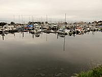 IMG 8087