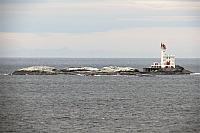 IMG 8181 (2)