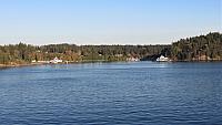 IMG 8223 (2)