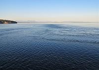 IMG 8229 (2)