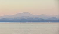 IMG 8237 (3)