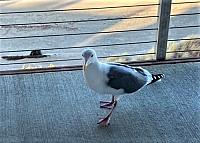 IMG 0595