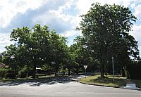 IMG 8473