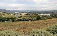 IMG 9195