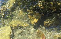 IMG 8686