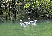 IMG 8693