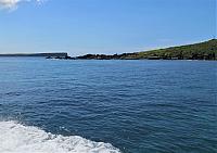 IMG 8768