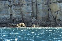 IMG 8785