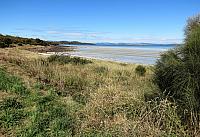 IMG 8919