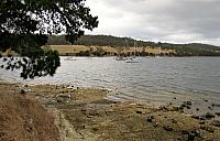 IMG 8976