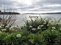 IMG 9060