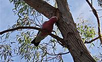 IMG 9128