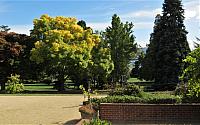 IMG 9157