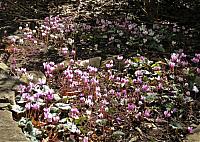 IMG 9164
