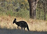 IMG 8826