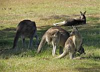 IMG 8841