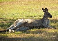 IMG 8844