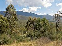 IMG 8861