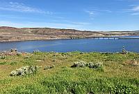 IMG 0685