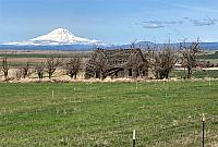 IMG 0740