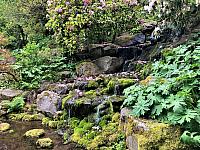 IMG 0799