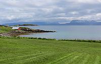 IMG 9451