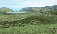 IMG 9562