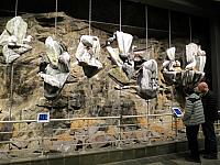 IMG 9594