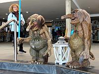 IMG 9601
