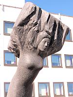 IMG 9630