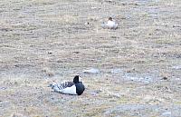 IMG 9661