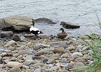 IMG 9735