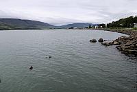 IMG 9737