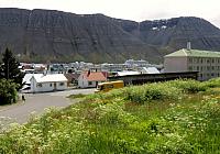 IMG 9830