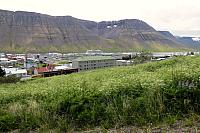 IMG 9831