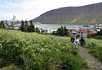 IMG 9832