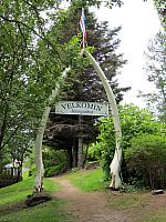 IMG 9840