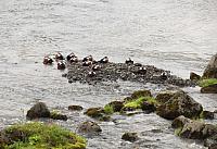IMG 9845