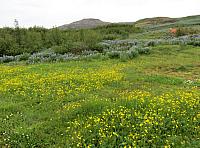 IMG 9872