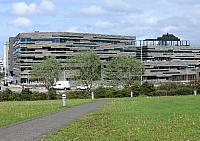 IMG 9943