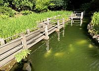 IMG 0919