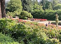 IMG 0926