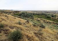 IMG 0015