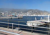 IMG 0118