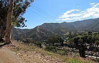 IMG 0149