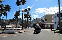 IMG 0165