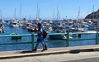 IMG 0179