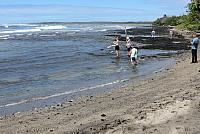IMG 0422