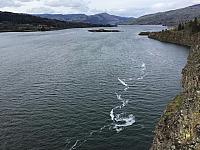 IMG 3497