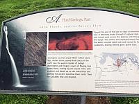 IMG 3499
